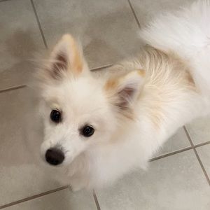 Meet your Posher, Emily g.